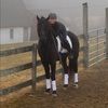 minipony16